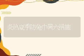 炎热夏季防兔中暑六措施