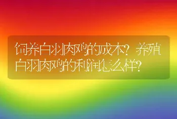 饲养白羽肉鸡的成本？养殖白羽肉鸡的利润怎么样？