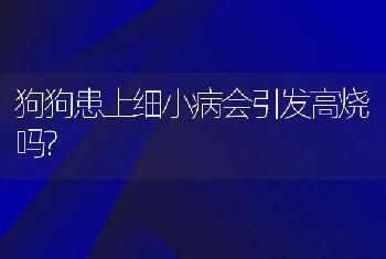 狗狗患上细小病会引发高烧吗?