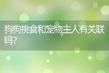 狗狗挑食和宠物主人有关联吗？