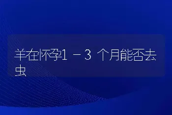 羊在怀孕1-3个月能否去虫