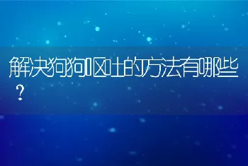 解决狗狗呕吐的方法有哪些？