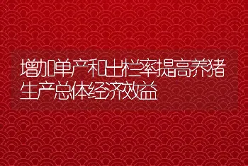 增加单产和出栏率提高养猪生产总体经济效益