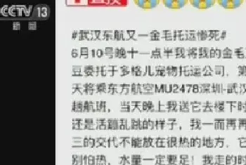 宠物托运死亡 航空公司按“斤”赔偿引争议