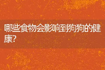 哪些食物会影响到狗狗的健康？