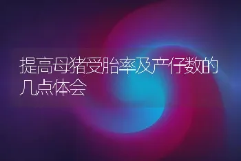 提高母猪受胎率及产仔数的几点体会