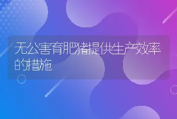 无公害育肥猪提供生产效率的措施