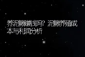 养泥鳅赚钱吗?泥鳅养殖成本与利润分析