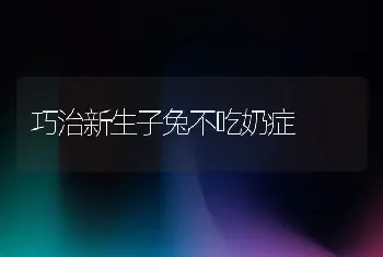 巧治新生子兔不吃奶症