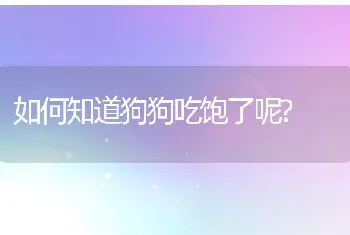 如何知道狗狗吃饱了呢?