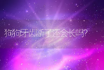 狗狗牙齿断了还会长吗？