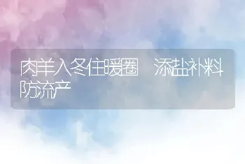 肉羊入冬住暖圈 添盐补料防流产