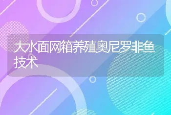 大水面网箱养殖奥尼罗非鱼技术