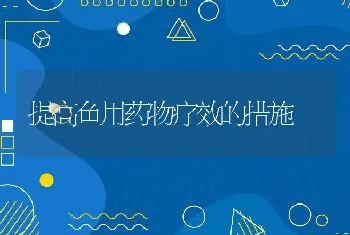 提高鱼用药物疗效的措施