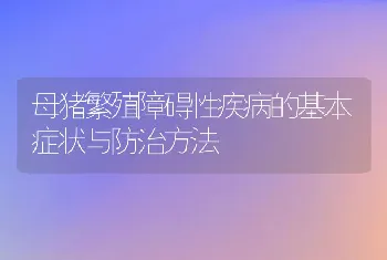 母猪繁殖障碍性疾病的基本症状与防治方法