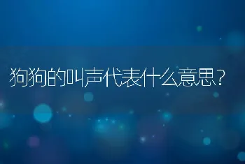 狗狗的叫声代表什么意思？