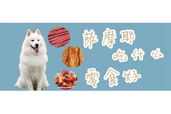 萨摩耶吃什么零食好