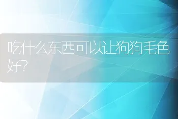 吃什么东西可以让狗狗毛色好？