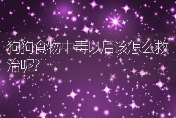 狗狗食物中毒以后该怎么救治呢?