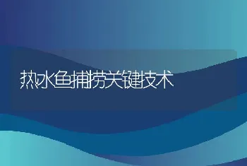 热水鱼捕捞关键技术