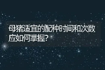 母猪适宜的配种时间和次数应如何掌握？