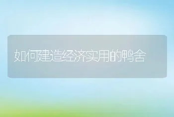 如何建造经济实用的鸭舍