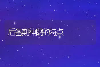 后备期种鹅的特点