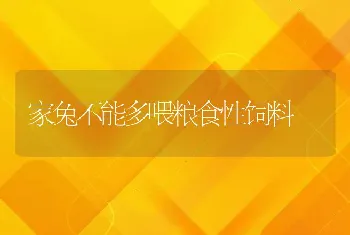 家兔不能多喂粮食性饲料