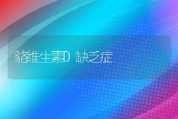 貉维生素D缺乏症