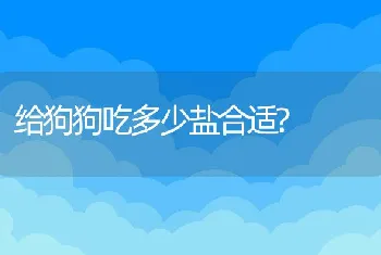 给狗狗吃多少盐合适?