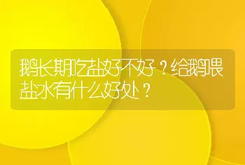 鹅长期吃盐好不好？给鹅喂盐水有什么好处？