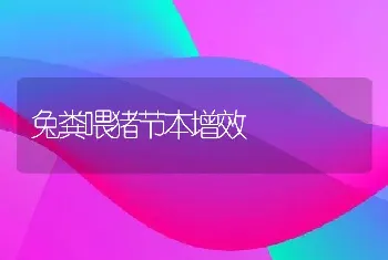 二线小丑鱼的人工繁殖