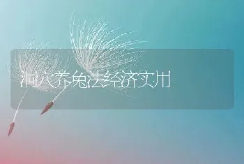 洞穴养兔法经济实用