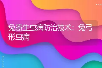 兔寄生虫病防治技术：兔弓形虫病