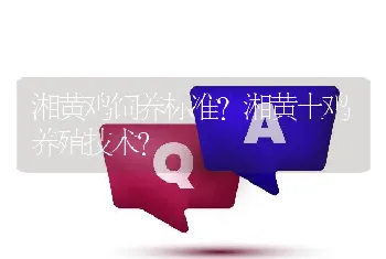 湘黄鸡饲养标准？湘黄土鸡养殖技术？