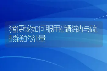 猪便秘如何服用硫酸钠与硫酸镁的剂量