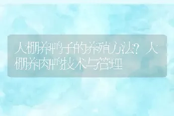 大棚养鸭子的养殖方法？大棚养肉鸭技术与管理