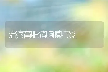 治疗育肥猪胸膜肺炎