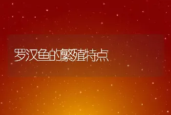 后备种鹅的管理要点（上）