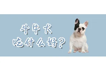 斗牛犬吃什么好