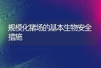 规模化猪场的基本生物安全措施