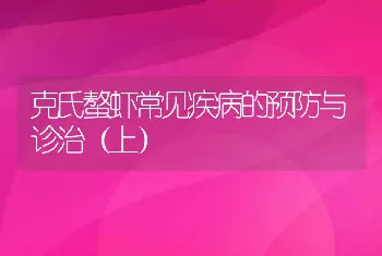 克氏螯虾常见疾病的预防与诊治（上）