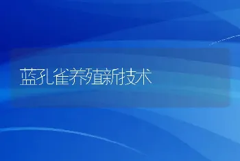 蓝孔雀养殖新技术