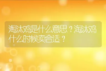 淘汰鸡是什么意思？淘汰鸡什么时候卖合适？