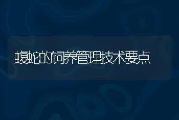 怎样用木屑填充法干运日本对虾