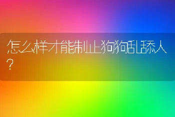 怎么样才能制止狗狗乱舔人？