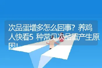 次品蛋增多怎么回事？养鸡人快看5种常见次品蛋产生原因！