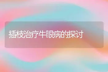 插枝治疗牛眼病的探讨