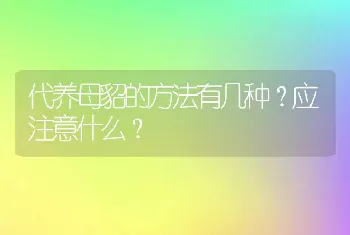 代养母貂的方法有几种？应注意什么？