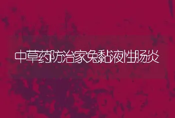 中草药防治家兔黏液性肠炎